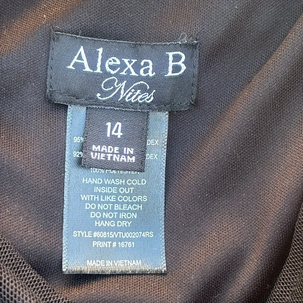 Alexa B Lace Mesh Maxi Dress Sequins V-neck Witchy Whimsigoth Goth Fairy Sz 14 - Picture 9 of 11